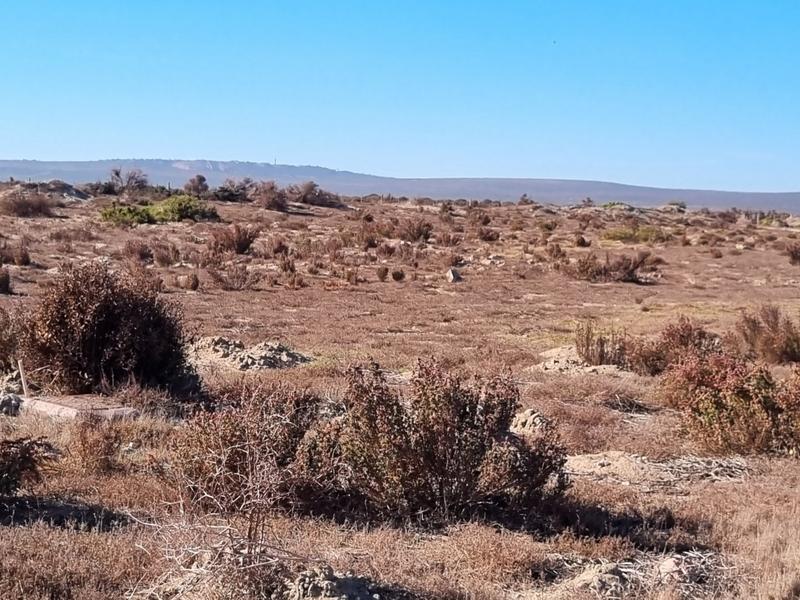 Commercial Property for Sale in Saldanha Rural Western Cape